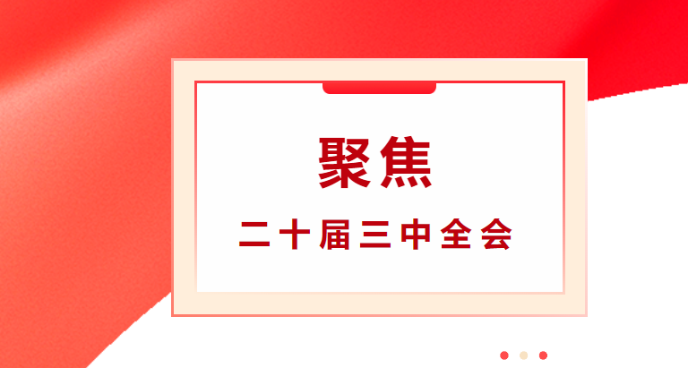 海南优发国际信息手艺有限公司党支部举行学习贯彻党的二十届三中全会精神专题学习会